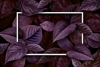 White frame on a metallic purple leaves textured background vector