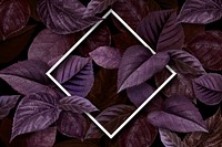 White rhombus frame on a purple leaves textured background