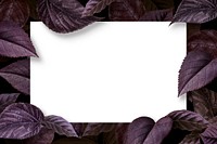 White plain poster on a metallic purple leaves textured background vector