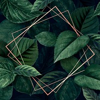 Rhombus frame on a leafy background vector