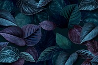 Bluish plant leaves textured background