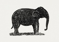 Elephant (ca. 1891–1941) drawing in high resolution by Leo Gestel. Original from The Rijksmuseum. Digitally enhanced by rawpixel.