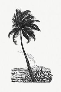 Palm tree psd vintage drawing, remixed from artworks from Leo Gestel