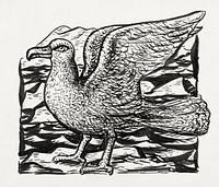 Seagull (ca. 1891&ndash;1941) drawing in high resolution by Leo Gestel. Original from The Rijksmuseum. Digitally enhanced by rawpixel.