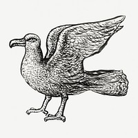 Vintage gull psd hand drawn illustration, remixed from artworks from Leo Gestel