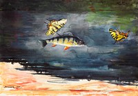 Fish and Butterflies (1900) by Winslow Homer. Original from The Clark Art Institute. Digitally enhanced by rawpixel.by Winslow Homer. Original from The Clark Art Institute. Digitally enhanced by rawpixel.