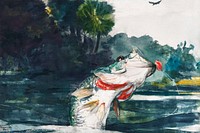Life-Size Black Bass (1904) by <a href="https://www.rawpixel.com/search/Winslow%20Homer?sort=curated&amp;page=1&amp;topic_group=_my_topics">Winslow Homer</a>. Original from The Smithsonian Institution. Digitally enhanced by rawpixel.