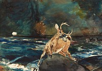 A Good Shot, Adirondacks (1892) by <a href="https://www.rawpixel.com/search/Winslow%20Homer?sort=curated&amp;page=1&amp;topic_group=_my_topics">Winslow Homer</a>. Original from The National Gallery of Art. Digitally enhanced by rawpixel.