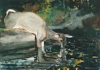 Deer Drinking (1892) by <a href="https://www.rawpixel.com/search/Winslow%20Homer?sort=curated&amp;page=1&amp;topic_group=_my_topics">Winslow Homer</a>. Original from Yale University Art Gallery. Digitally enhanced by rawpixel.