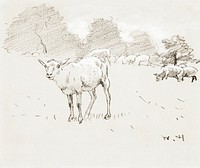 Sheep Grazing in a Field (1878) by <a href="https://www.rawpixel.com/search/Winslow%20Homer?sort=curated&amp;page=1&amp;topic_group=_my_topics">Winslow Homer</a>. Original from The Smithsonian. Digitally enhanced by rawpixel.