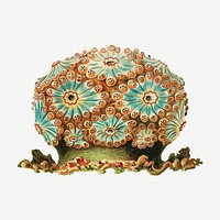 Colorful vintage tunicate ilustration