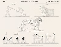 Vintage illustration of Tomb of Nevothph and Tomb of Menothph, south and north walls from Monuments de l'&Eacute;gypte et de la Nubie.