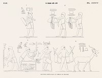 Vintage illustration of Paintings copied from the tomb of M&eacute;nofr&eacute; from Monuments de l&#39;&Eacute;gypte et de la Nubie.
