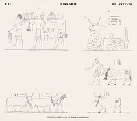Vintage illustration of Paintings copied from the tomb of M&eacute;nofr&eacute; from Monuments de l&#39;&Eacute;gypte et de la Nubie.