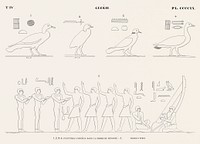 Paintings copied from the tomb of M&eacute;nofr&eacute; and Tomb of E&iuml;mei from Monuments de l&#39;&Eacute;gypte et de la Nubie (1835&ndash;1845) by <a href="https://www.rawpixel.com/search/Jean%20Fran%C3%A7ois%20Champollion?&amp;sort=curated&amp;page=1">Jean Fran&ccedil;ois Champollion</a> (1790&ndash;1832). Original from The New York Public Library. Digitally enhanced by rawpixel.