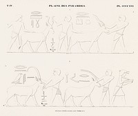 Vintage illustration of Scenes copied from the tombs from Monuments de l&#39;&Eacute;gypte et de la Nubie.