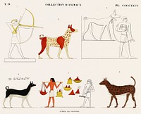 Vintage illustration of Collection of animals from the paintings from Monuments de l&#39;&Eacute;gypte et de la Nubie.