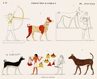 Collection of animals from the paintings from Monuments de l&#39;&Eacute;gypte et de la Nubie (1835&ndash;1845) by <a href="https://www.rawpixel.com/search/Jean%20Fran%C3%A7ois%20Champollion?&amp;sort=curated&amp;page=1">Jean Fran&ccedil;ois Champollion</a> (1790&ndash;1832). Original from The New York Public Library. Digitally enhanced by rawpixel.