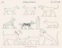 Animal figures from the original paintings from Monuments de l&#39;&Eacute;gypte et de la Nubie (1835&ndash;1845) by <a href="https://www.rawpixel.com/search/Jean%20Fran%C3%A7ois%20Champollion?&amp;sort=curated&amp;page=1">Jean Fran&ccedil;ois Champollion</a> (1790&ndash;1832). Original from The New York Public Library. Digitally enhanced by rawpixel.
