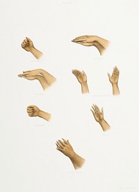 Hand signs from The Sundhya or the Daily Prayers of the Brahmins (1851) by <a href="https://www.rawpixel.com/search/Sophie%20Charlotte%20Belnos?&amp;page=1">Sophie Charlotte Belnos</a> (1795&ndash;1865).