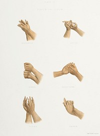Hand Signs of the Gayatri from The Sundhya or the Daily Prayers of the Brahmins (1851) by <a href="https://www.rawpixel.com/search/Sophie%20Charlotte%20Belnos?&amp;page=1">Sophie Charlotte Belnos</a> (1795&ndash;1865).