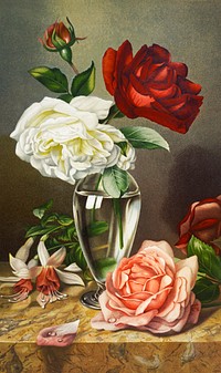 Roses in a glass vase from The Miriam and Ira D. Wallach Division Of Art, Prints and Photographs: Picture Collection published by <a href="https://www.rawpixel.com/search/L.%20Prang%20%26%20Co.?sort=curated&amp;page=1">L. Prang &amp; Co</a>. Original From The New York Public Library. Digitally enhanced by rawpixel.