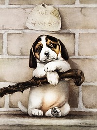 Christmas card depicting a portrait of a puppy from The Miriam and Ira D. Wallach Division Of Art, Prints and Photographs: Picture Collection published by <a href="https://www.rawpixel.com/search/L.%20prong%20%26%20Co?sort=curated&amp;page=1">L. Prang &amp; Co</a>. Original From The New York Public Library. Digitally enhanced by rawpixel.