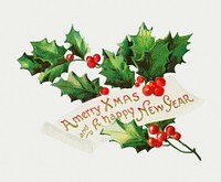 Vintage holly branch vector featuring Merry X&#39;mas and A Happy New Year wish. Original from the The New York Public Library. Digitally enhanced by rawpixel.
