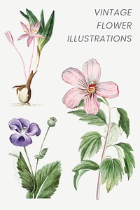 Set of hand drawn flowers  illustration