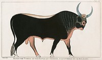 Plate 15 : The Apis Bull by <a href="https://www.rawpixel.com/search/Giovanni%20Battista%20Belzoni?sort=curated&amp;rating_filter=all&amp;mode=shop&amp;page=1">Giovanni Battista Belzoni</a> (1778-1823) from Plates illustrative of the researches and operations in Egypt and Nubia (1820). Original from New York public library. Digitally enhanced by rawpixel.