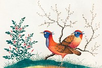Chinese painting featuring two pheasant-like birds with flowering plants (ca.1800&ndash;1899) from the Miriam and Ira D. Wallach Division of Art, Prints and Photographs: Art &amp; Architecture Collection. Original from the New York Public Library. Digitally enhanced by rawpixel.