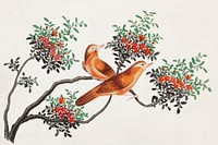 Chinese painting featuring birds of China (ca.1800&ndash;1899) from the Miriam and Ira D. Wallach Division of Art, Prints and Photographs: Art &amp; Architecture Collection. Original from the New York Public Library. Digitally enhanced by rawpixel.