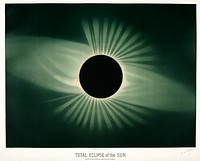 Total eclipse of the sun from the Trouvelot<br />astronomical drawings (1881-1882) by <a href="https://www.rawpixel.com/search/etienne%20leopold%20trouvelot?&amp;page=1">E. L. Trouvelot</a> (1827-1895)