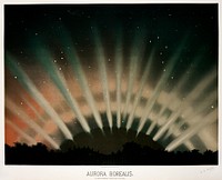 Aurora&nbsp;Borealis&nbsp;from the Trouvelot<br />astronomical drawings (1881-1882) by <a href="https://www.rawpixel.com/search/etienne%20leopold%20trouvelot?&amp;page=1">E. L. Trouvelot</a> (1827-1895)