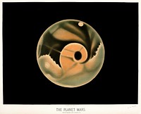 The planet Mars from the Trouvelot<br />astronomical drawings (1881-1882) by<a href="https://www.rawpixel.com/search/etienne%20leopold%20trouvelot?&amp;page=1"> E. L. Trouvelot</a> (1827-1895)