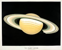 The planet Saturn from the Trouvelotastronomical drawings (1881-1882) by E. L. Trouvelot (1827-1895)