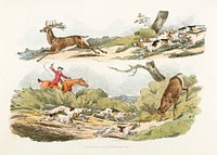 Illustration of a hunter with dogs chasing a stag from the vintage book Sporting Sketches (1817-1818) by <a href="https://www.rawpixel.com/search/Henry%20Alken?&amp;page=1">Henry Alken</a> (1784-1851). Original from The New York Public Library. Digitally enhanced by rawpixel.