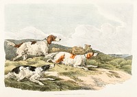 Illustration of running hounds from Sporting Sketches (1817-1818) by <a href="https://www.rawpixel.com/search/Henry%20Alken?&amp;page=1">Henry Alken</a> (1784-1851). Original from The New York Public Library. Digitally enhanced by rawpixel.