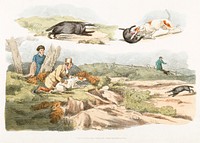 Illustration of badger hunting: dogs chasing and attacking badgers from Sporting Sketches (1817-1818) by <a href="https://www.rawpixel.com/search/Henry%20Alken?&amp;page=1">Henry Alken </a>(1784-1851). Original from The New York Public Library. Digitally enhanced by rawpixel.