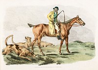 Illustration of mounted hunter with three hounds running behind from Sporting Sketches (1817-1818) by Henry Alken (1784-1851). Original from The New York Public Library. Digitally enhanced by rawpixel.