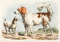 Illustration of two hunting dogs from Sporting Sketches (1817-1818) by <a href="https://www.rawpixel.com/search/Henry%20Alken?&amp;page=1">Henry Alken</a> (1784-1851). Original from The New York Public Library. Digitally enhanced by rawpixel.