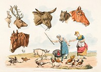 Illustration of two women feeding domestic birds, (also six heads of domestic and wild animals) from Sporting Sketches (1817-1818) by <a href="https://www.rawpixel.com/search/Henry%20Alken?&amp;page=1">Henry Alken</a> (1784-1851). Original from The New York Public Library. Digitally enhanced by rawpixel.