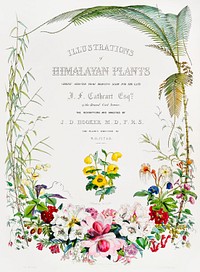 Title page from Illustrations of Himalayan plants (1855) by <a href="https://www.rawpixel.com/search/W.%20H.%20%28Walter%20Hood%29%20Fitch?&amp;page=1">W. H. (Walter Hood) Fitch</a> (1817-1892). Original from The New York Public Library. Digitally enhanced by rawpixel.