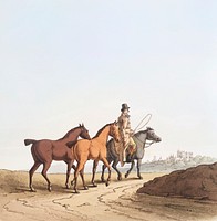 Illustration of the horse dealer from The Costume of Yorkshire (1814) by <a href="https://www.rawpixel.com/search/George%20Walker?&amp;page=1">George Walker </a>(1781-1856). Original from The New York Public Library. Digitally enhanced by rawpixel.