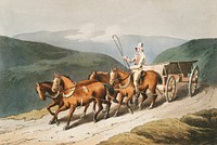 Illustration of the east riding or wolds waggon from The Costume of Yorkshire (1814) by George Walker (1781-1856). Original from The New York Public Library. Digitally enhanced by rawpixel.