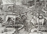 Deer hunting illustration from Grand voyages (1596) by <a href="https://www.rawpixel.com/search/Theodor%20de%20Bry?sort=curated&amp;rating_filter=all&amp;mode=shop&amp;page=1">Theodor de Bry</a> (1528-1598). Original from The New York Public Library. Digitally enhanced by rawpixel.