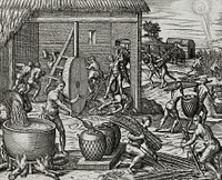 Local indians making sugar in America illustration from Grand voyages (1596) by <a href="https://www.rawpixel.com/search/Theodor%20de%20Bry?sort=curated&amp;rating_filter=all&amp;mode=shop&amp;page=1">Theodor de Bry</a> (1528-1598). Original from The New York Public Library. Digitally enhanced by rawpixel.