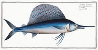 Ola-Fish (Scomber Gladius) from Ichtylogie, ou Histoire naturelle: g&eacute;nerale et particuli&eacute;re des poissons (1785&ndash;1797) by <a href="http://www.rawpixel.com/search/Marcus%20Elieser%20Bloch?sort=curated&amp;page=1">Marcus Elieser Bloch</a>. Original from New York Public Library. Digitally enhanced by rawpixel.