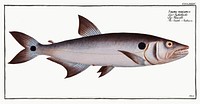 Sickle-Salmon (Salmo falcatus) from Ichtylogie, ou Histoire naturelle: g&eacute;nerale et particuli&eacute;re des poissons (1785&ndash;1797) by <a href="http://www.rawpixel.com/search/Marcus%20Elieser%20Bloch?sort=curated&amp;page=1">Marcus Elieser Bloch</a>. Original from New York Public Library. Digitally enhanced by rawpixel.