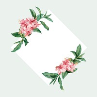 Vintage azalea rosea on a frame vector